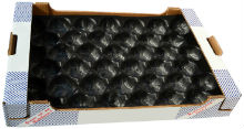 Carton box for packing of stone fruits, citruses, kiwi and other fruits in one layer